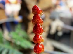 -花家怡园(四合院总店)