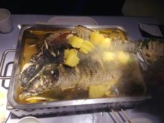 -鱼酷活鱼烤鱼(昆明路店)