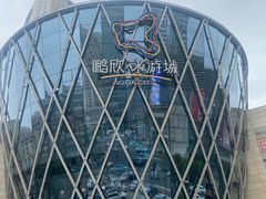 -鹏欣水游城