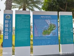 -野狸岛