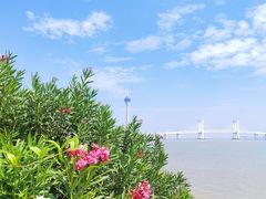 -芒洲湿地公园