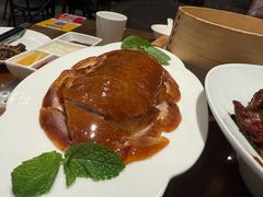 -北京老铺烤鸭(高新店)