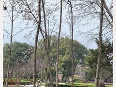 -徐家汇源景区-衡山公园