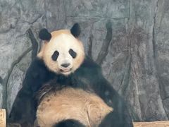 -深圳野生动物园