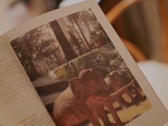 -西双版纳融创皇冠假日度假酒店