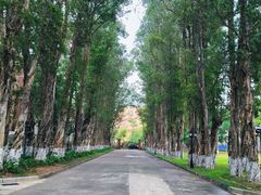 -广东外语外贸大学(白云山校区)