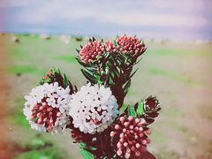 -敦煌雅丹国家地质公园