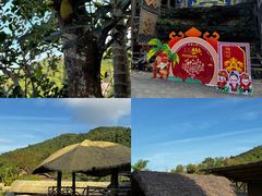 -海南槟榔谷黎苗文化旅游区