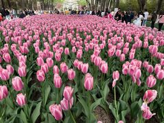 -西宁市人民公园(城西区)