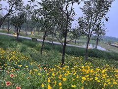 -东郊湿地公园