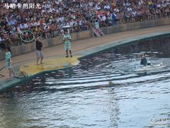 -秦皇岛乐岛海洋王国