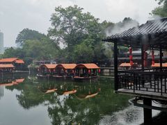 -侨美·唐荔园·40年地道粤菜