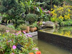 -深圳仙湖植物园