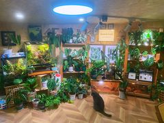 -Rabbit Cafe私房西餐甜点咖啡(栖霞路店)