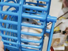 -FAELING PETS美天灵宠物(富力广场店)