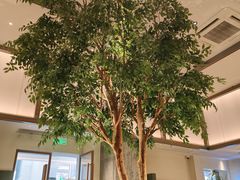 -榕意·川味之美(深业上城店)