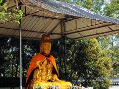 -上海佘山国家森林公园天马山园