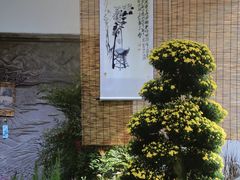 -杭州植物园