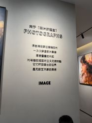 -大树儿童摄影