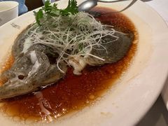 清蒸多宝鱼-苏浙汇(朝外店)