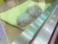 -7分甜(苏州中心店)