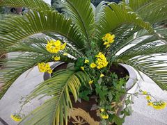 -大龙山(地铁站)