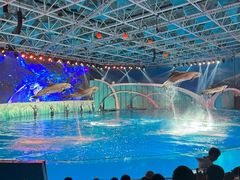 -海合安青岛极地海洋公园