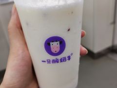 -一只酸奶牛(八一路店)