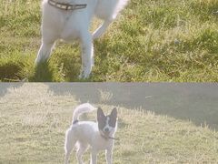 -洋湖国家湿地公园