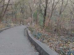 -南山风景名胜区