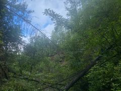 -峡谷浮石林景区