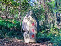 -上海佘山国家森林公园天马山园