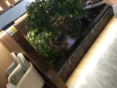 -南山翁新概念川菜(江宁万达广场店)