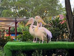 -广州长隆国际大马戏