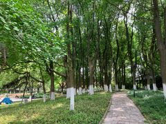 -范蠡湖公园