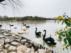 -上海野生动物园