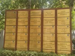 -北京中医药大学东方医院(方庄院区)