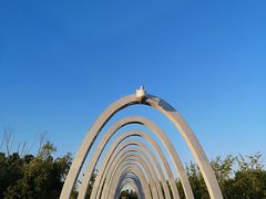 -大兴滨河森林公园