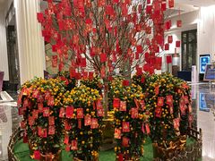 -春晖园度假酒店温泉