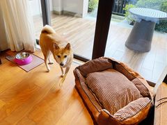 -上海崇明金茂凯悦酒店