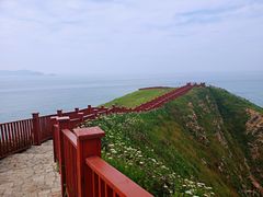-枸杞岛