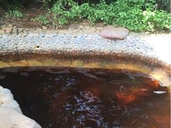 -三亚珠江南田温泉度假区