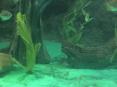 -常州海昌海洋探索馆