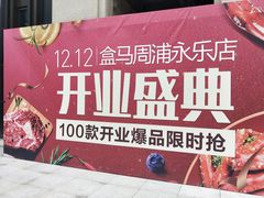 -盒马鲜生(领丰汇店)