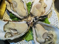 乳山生蚝-金龙·打边炉(南京西路店)