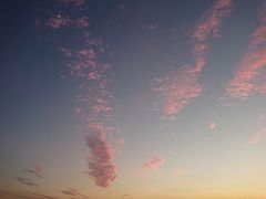 -海风酒吧 喝精酿 听民谣(阿那亚礼堂店)