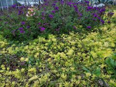 -南通博物苑-崇川人民公园