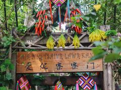 -西双版纳原始森林公园