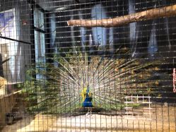 -酷嗒动物文化乐园(cutezoo西溪乐天城店)