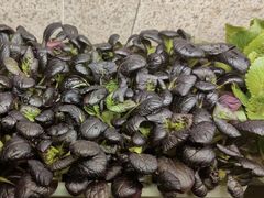 -番食园鲜食火锅(高新店)